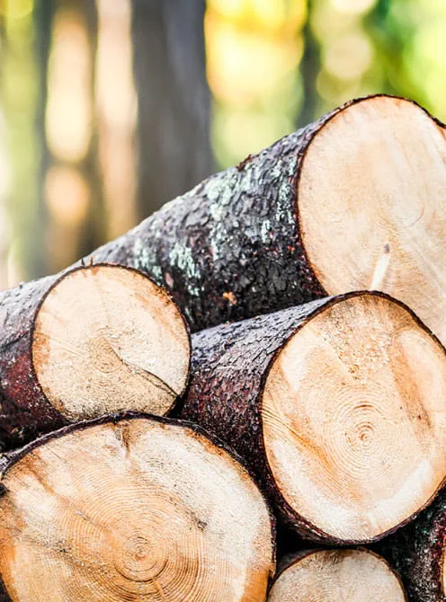 Certificación FSC (FSC-C164884)